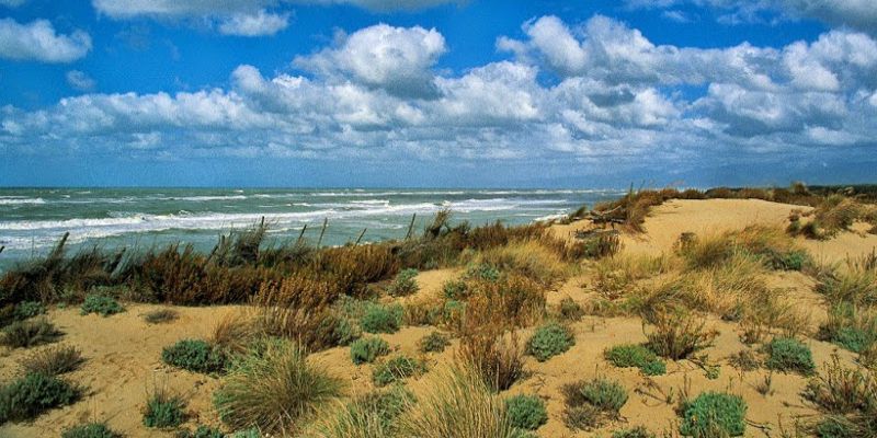 dune della versilia