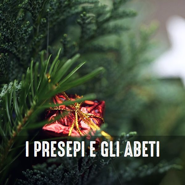 un percorso tra alberi di Natale e presepi a Lucca