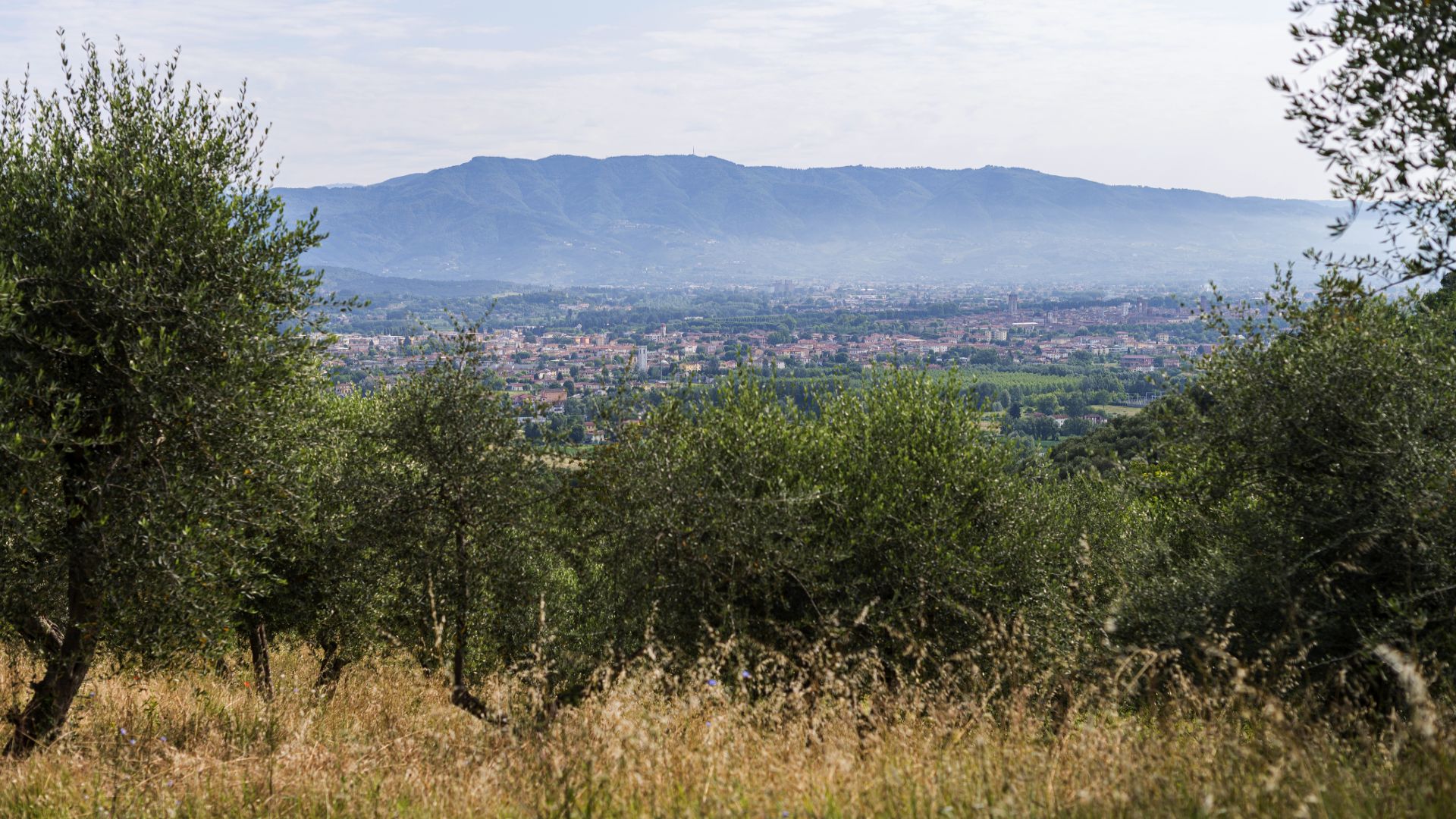 Das Panorama der Ebene von Lucca vom Pizzorne-Plateau