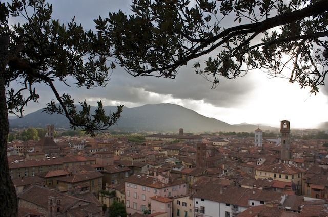 panorama di lucca da torre guinigi