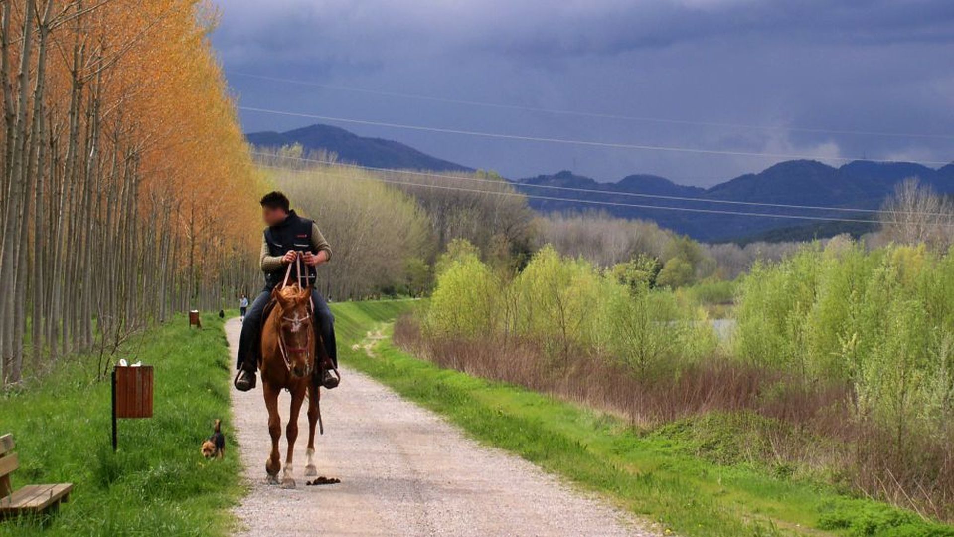 promenade à cheval le long de la rivière au printemps