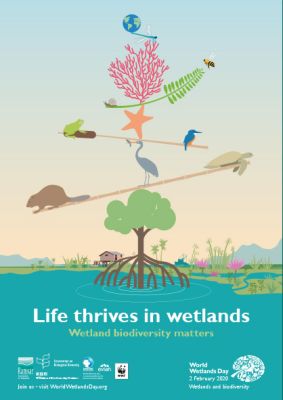 World wetland day affiche 2020
