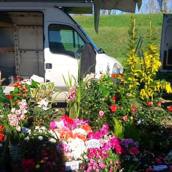 fiori al mercato settimanale di Lucca