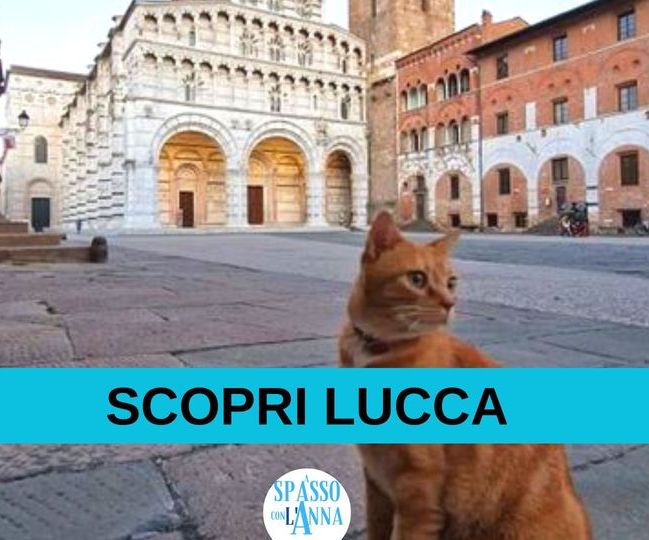 scopri lucca con l'anna