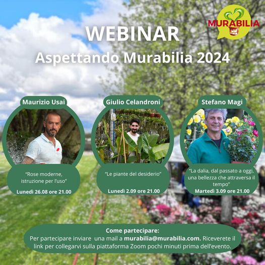 murabilia webinair