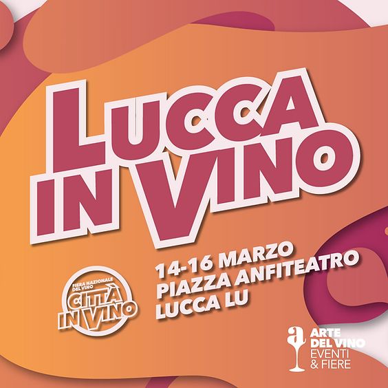 lucca in vino