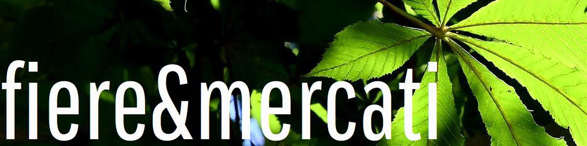 fiere e mercati a Lucca in maggio 2025