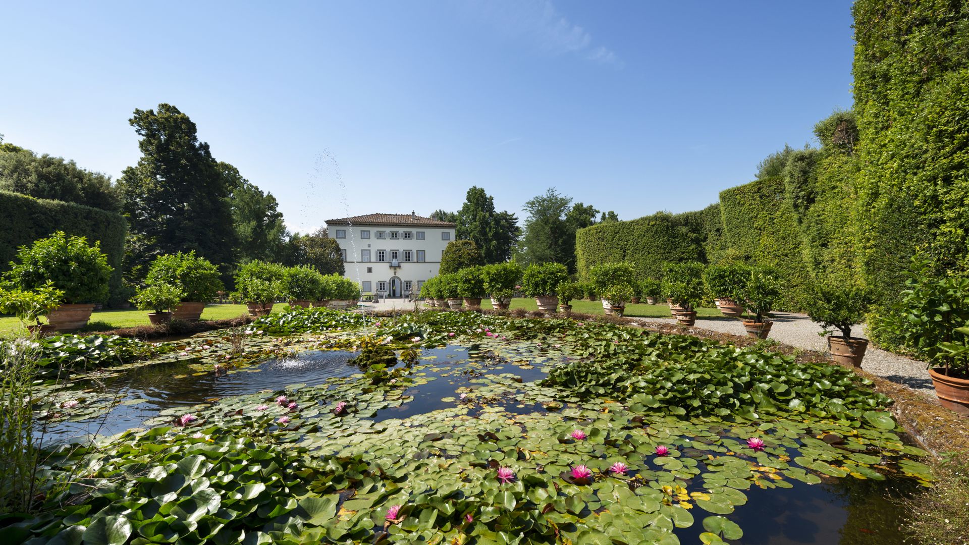 garden of Villa Grabau with water lilies