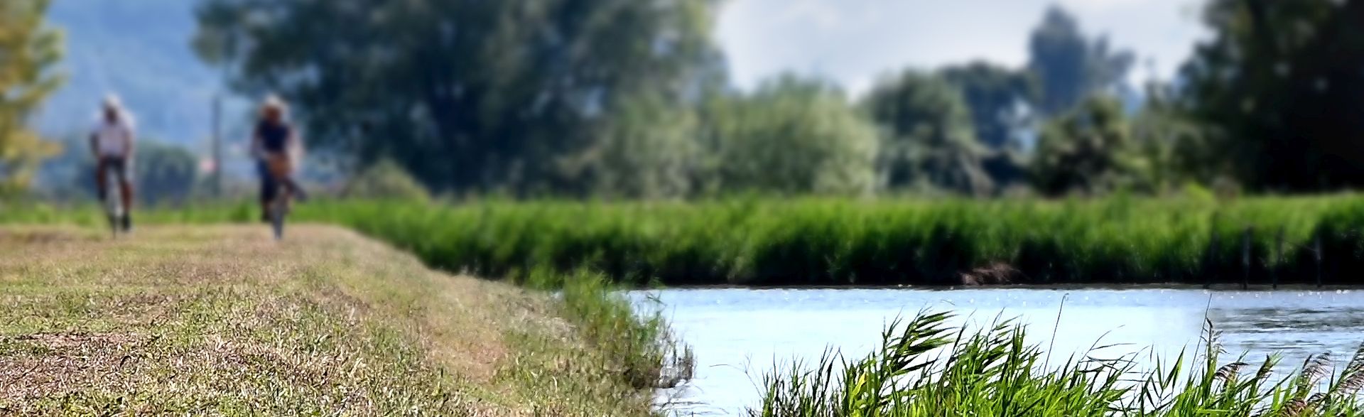 ciclopedonale Puccini lungo il fiume Serchio a Lucca