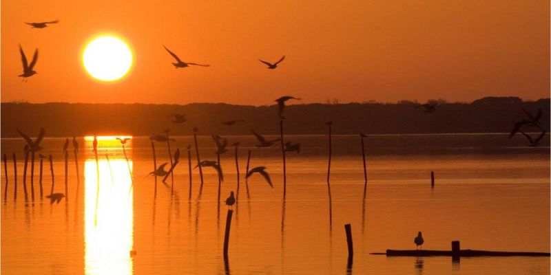 tramonto all'oasi lipu di MAssaciuccoli