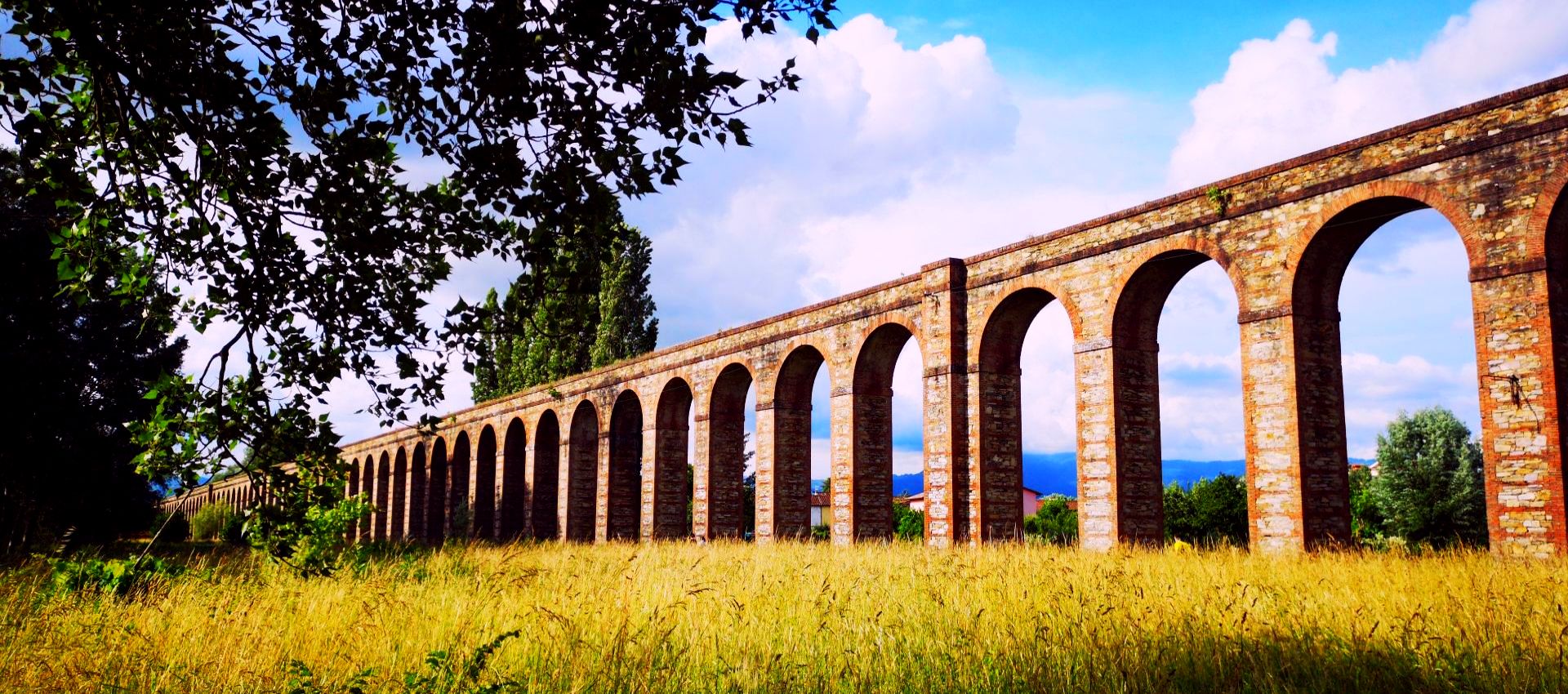 countryside near the nottolini aqueduct in lucca