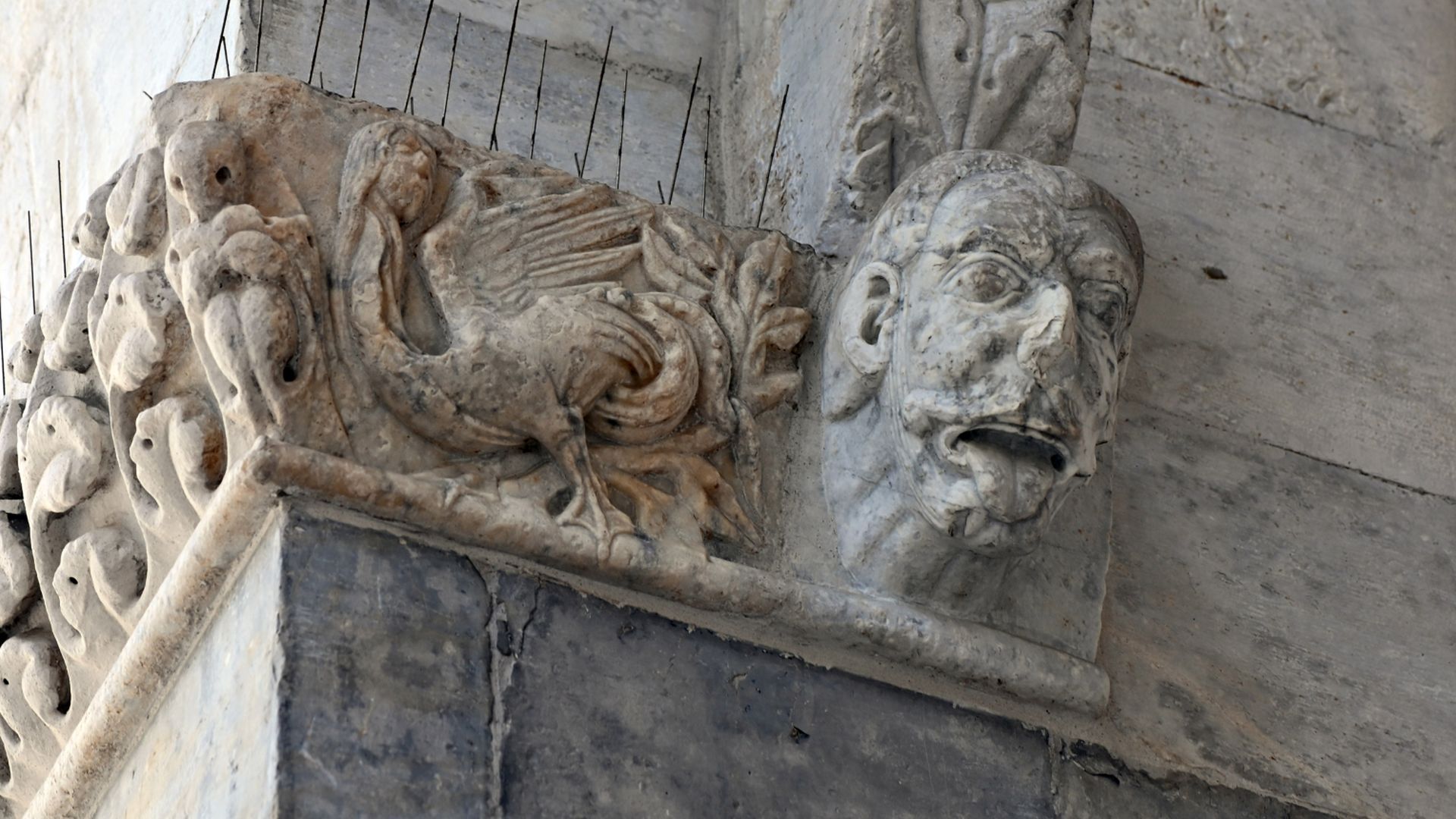 Harpyie an der Fassade der Kirche San Martino di Lucca