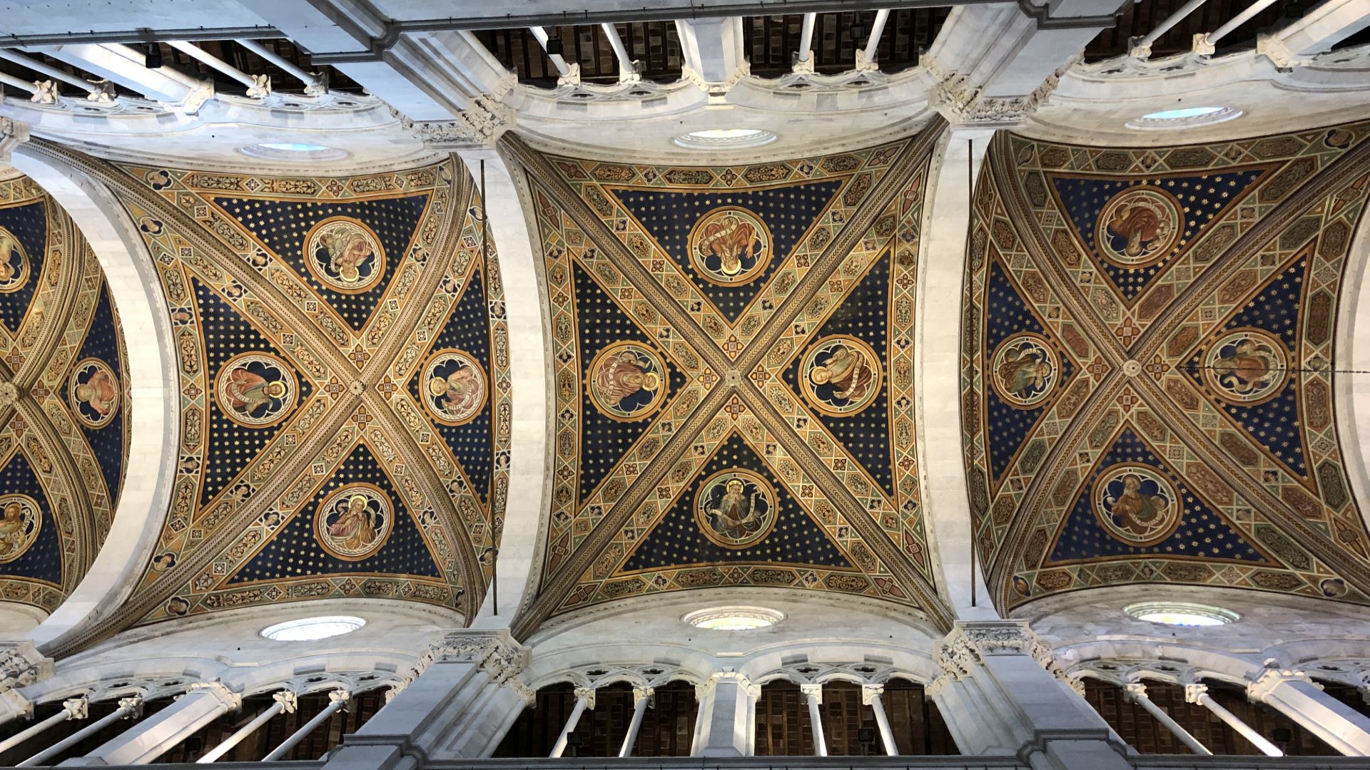 frescoed ceiling of the cathedral of lucca