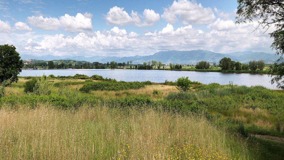 protected area of gherardesca