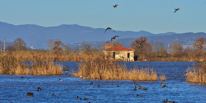 lago della gherardesca