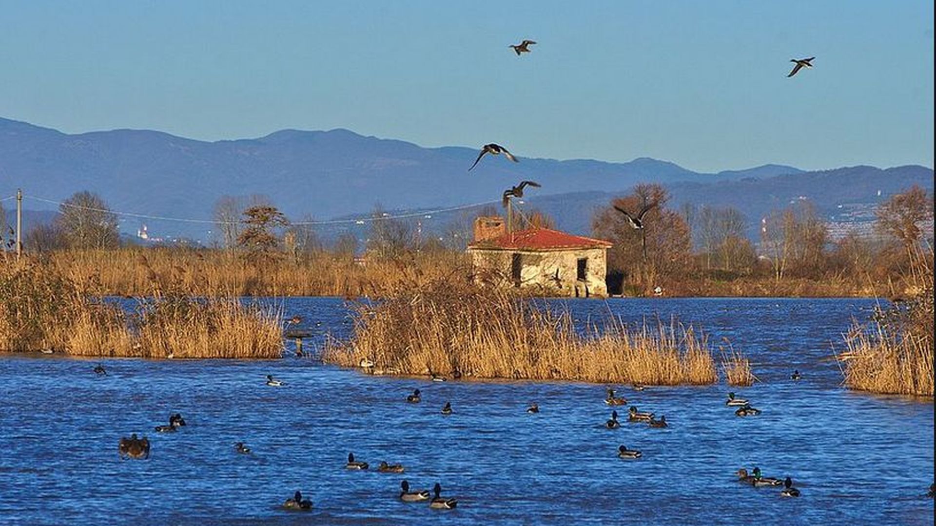 lago della Gherardesca