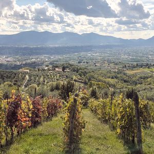Lucca Trek - paysages  de chemin de Santa GIulia 2