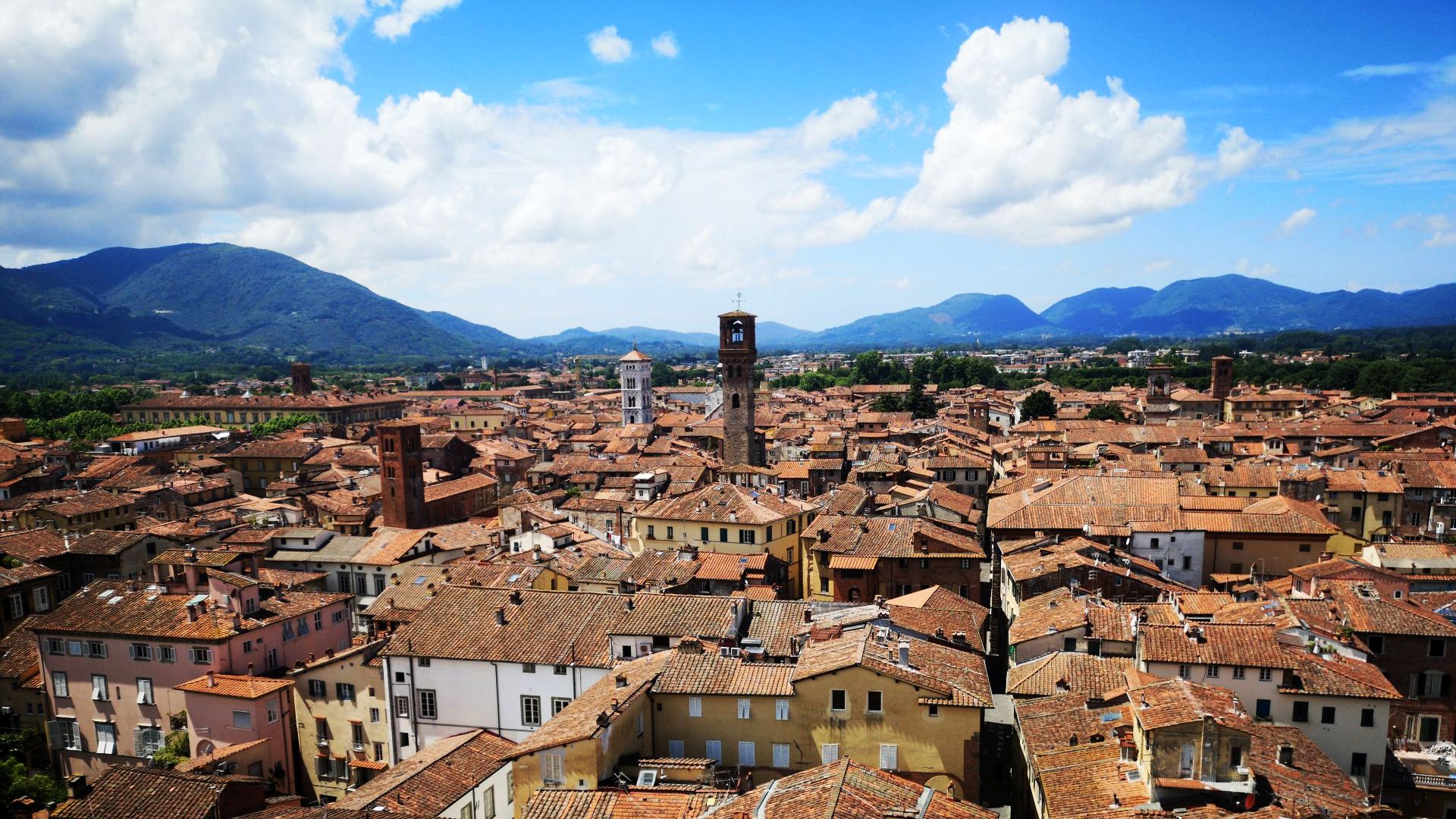 ansicht von Torre Guinigi in Lucca