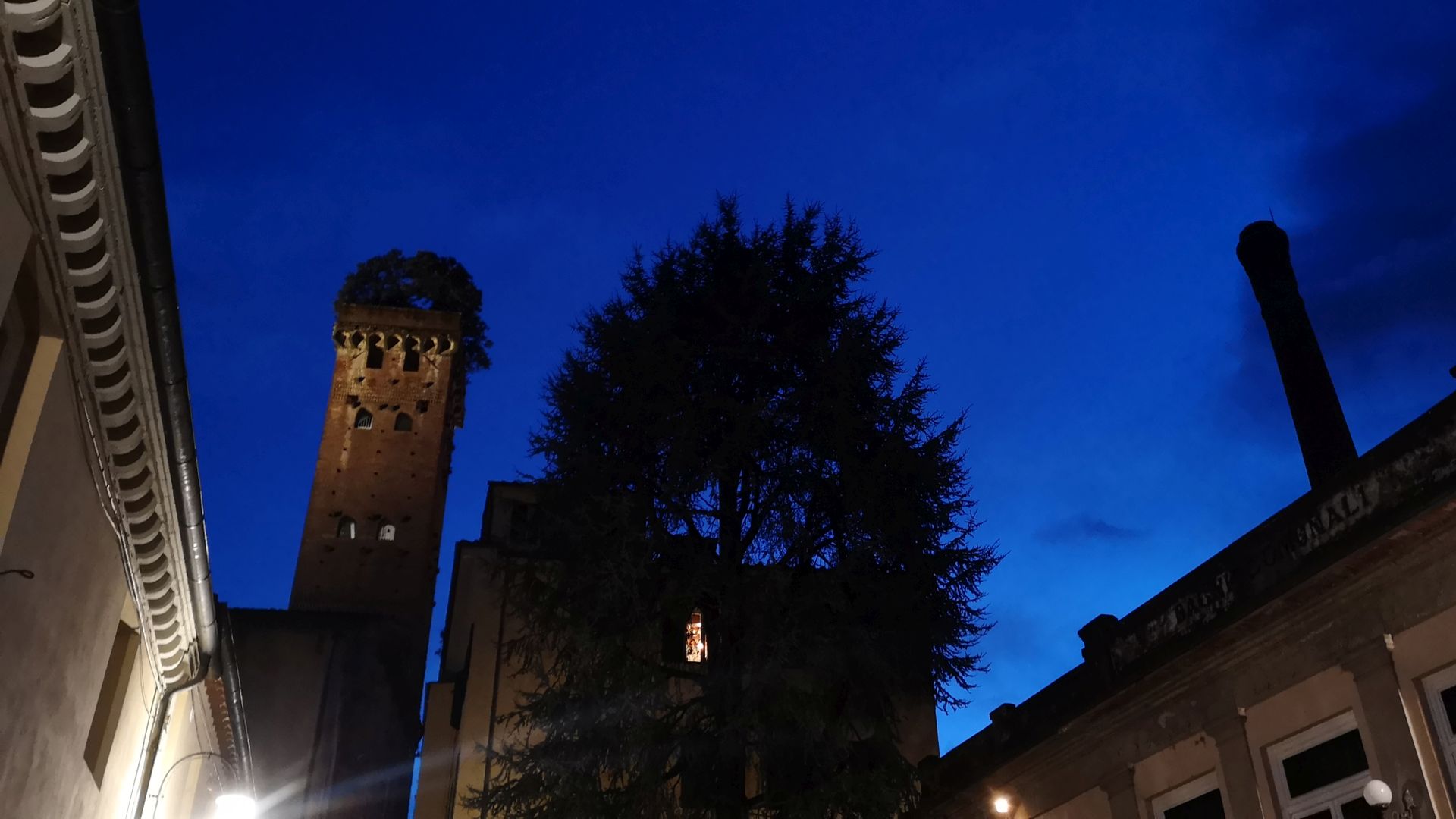 Torre guinigi by night