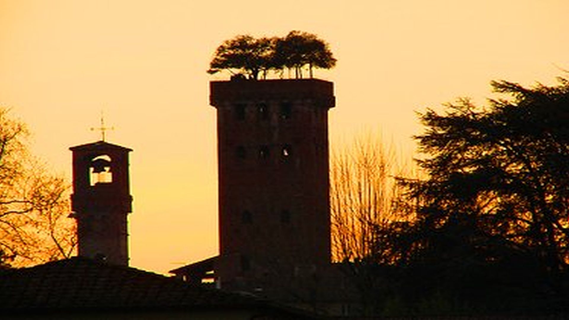 profiles of the guinigi tower and the hours in lucca
