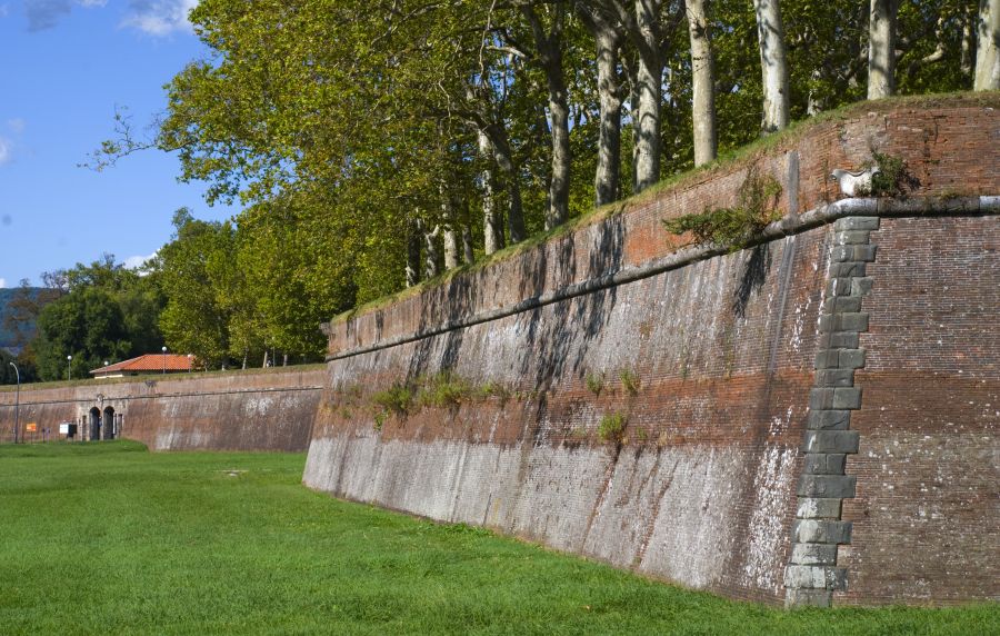 view of the external wall of the city walls of Lucca