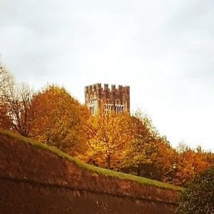 le mura di lucca