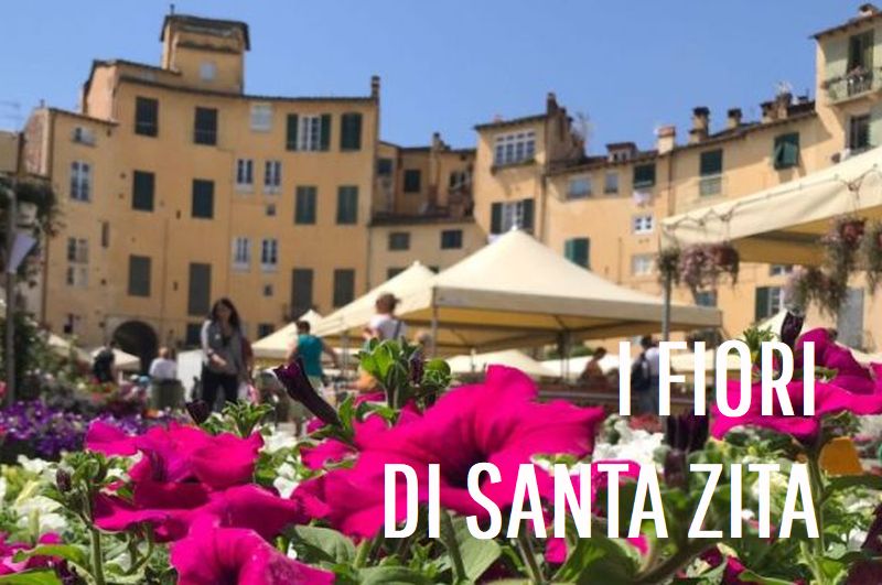 mercato dei fiori in piazza anfiteatro a Lucca