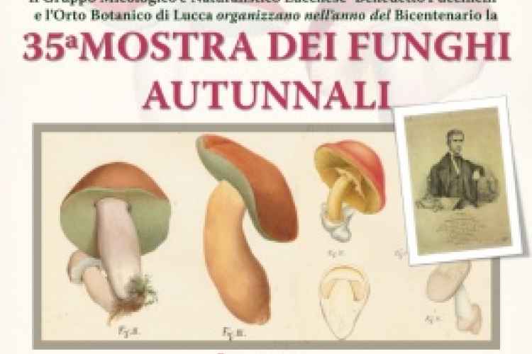 Locandina della 35^ Mostra dei funghi autunnali all'Orto Botanico di Lucca