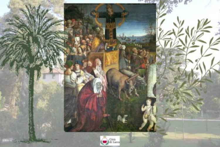 Immagine con piante e raffigurazione pittorica del Volto Santo