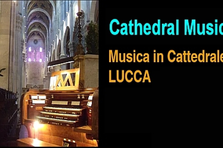 Logo con foto di un organo nella Cattedrale di San Martino.