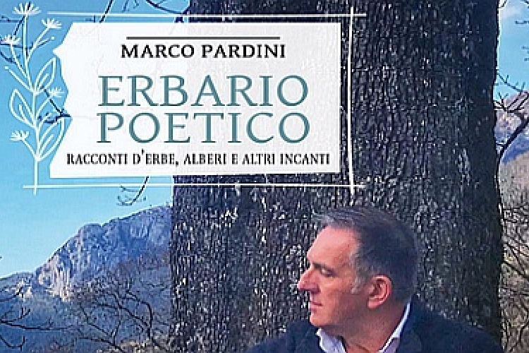 Intestazione copertina del libro "Erbario Poetico. Racconti d'erbe, alberi e altri incanti"