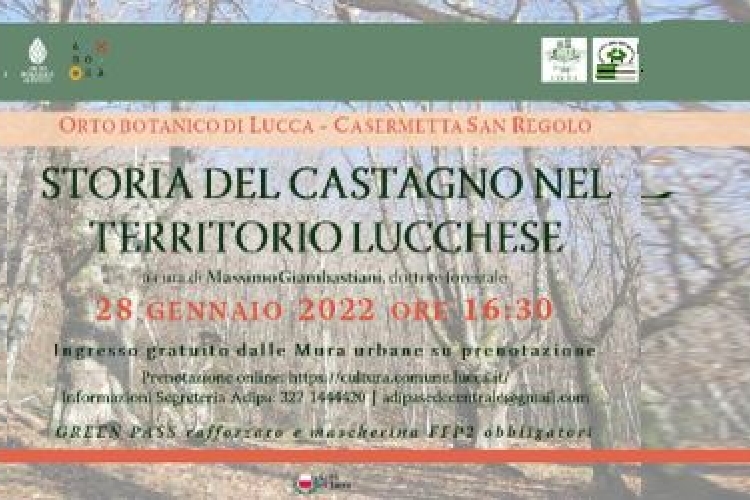 poster of the event storia del castagno