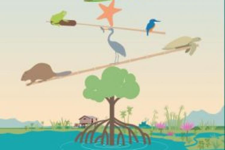World wetlands day poster 2020