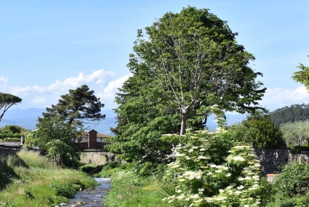 panorama von Vorno