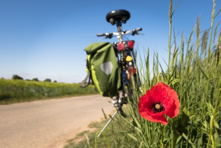 pasquetta in bicicleta a Lucca