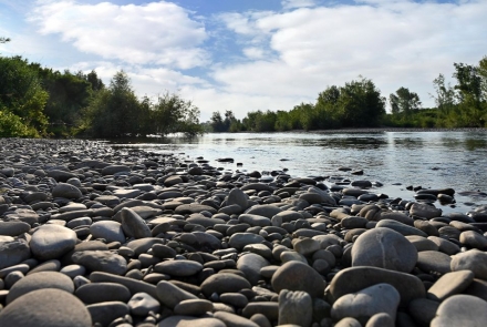 Flussufer bei Lucca